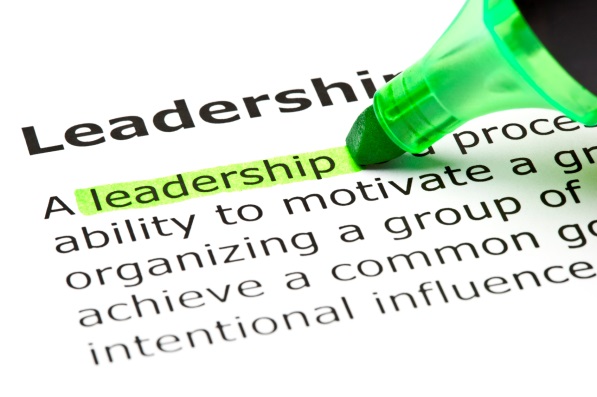 Successful Leadership:  Leading a Team through the Organizational Maze